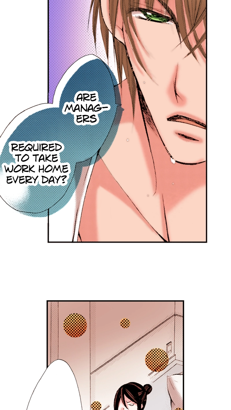 Kyousei Kekkon - Gaten Nikushoku Danshi x Interi Soushoku Joshi Chapter 16 page 32 - 