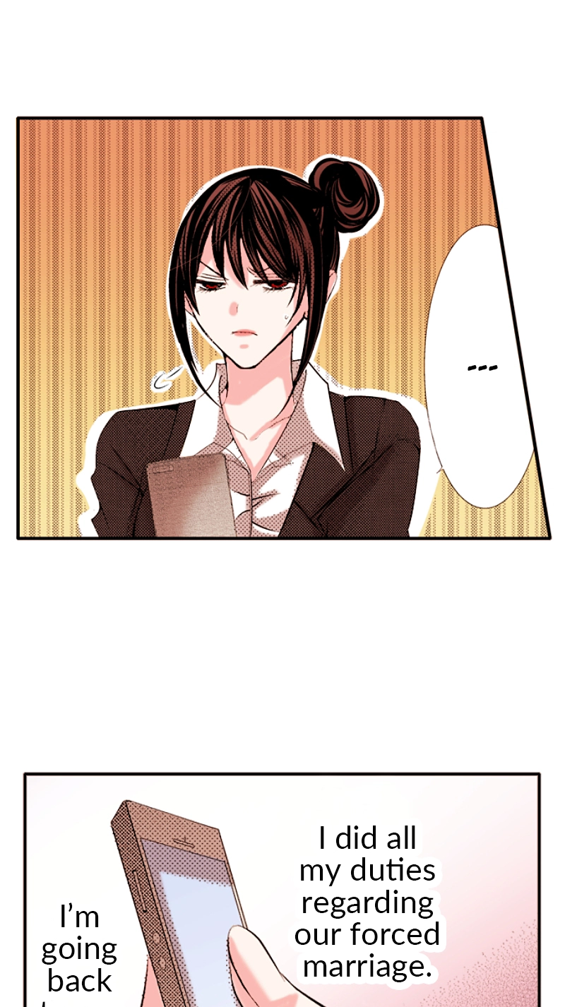 Kyousei Kekkon - Gaten Nikushoku Danshi x Interi Soushoku Joshi Chapter 31 page 17 - 