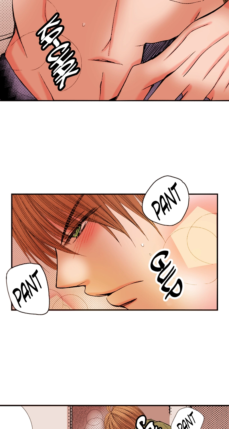 Kyousei Kekkon - Gaten Nikushoku Danshi x Interi Soushoku Joshi Chapter 37 page 11 - 