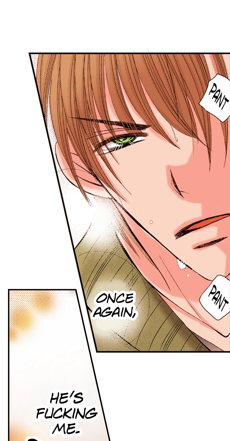 Kyousei Kekkon - Gaten Nikushoku Danshi x Interi Soushoku Joshi Chapter 37 page 16 - 