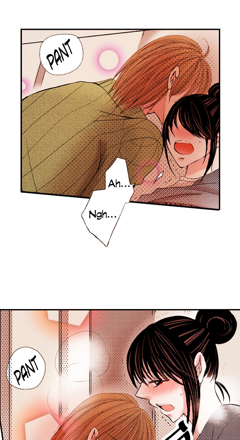 Kyousei Kekkon - Gaten Nikushoku Danshi x Interi Soushoku Joshi Chapter 37 page 5 - 