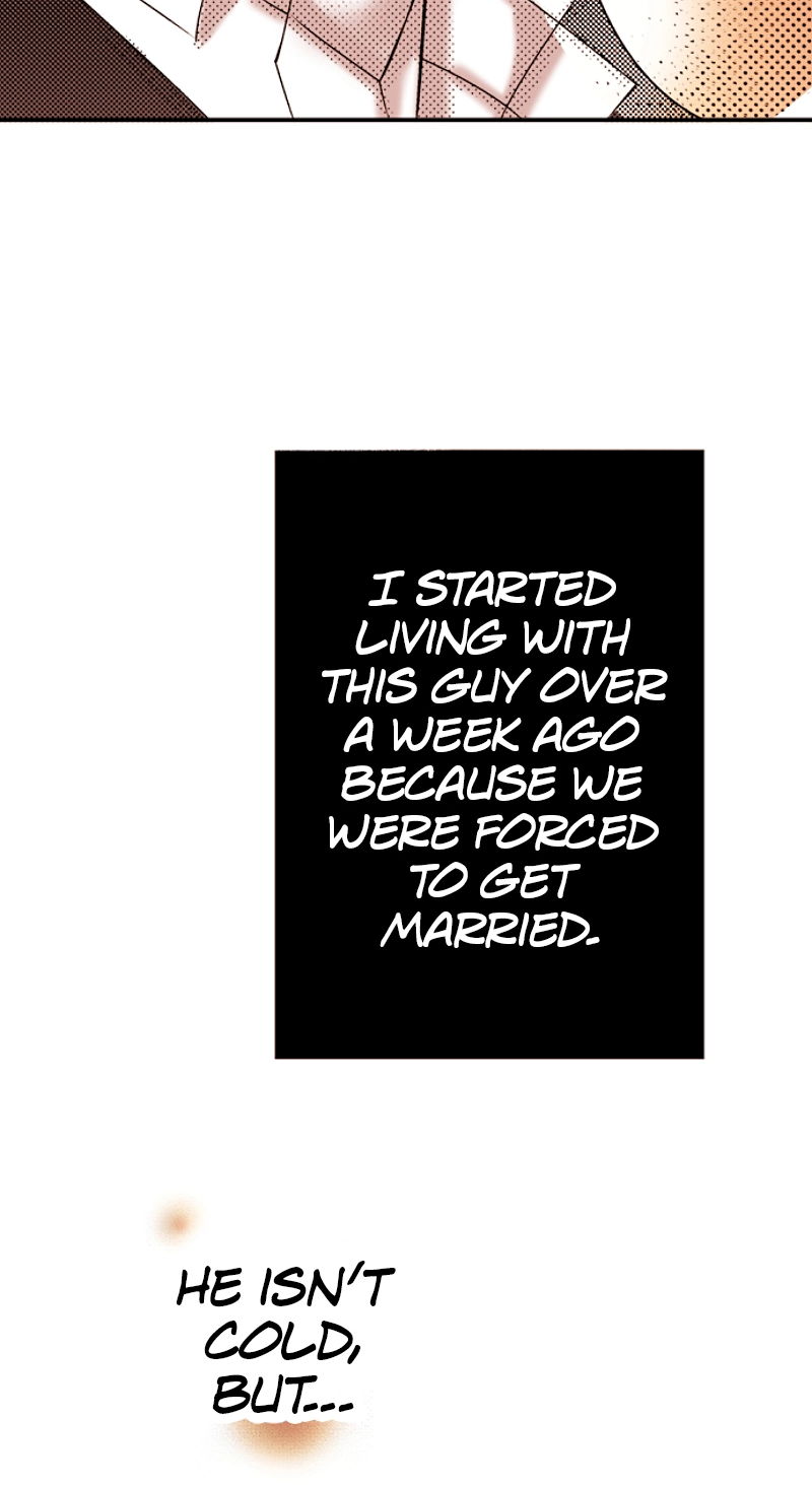 Kyousei Kekkon - Gaten Nikushoku Danshi x Interi Soushoku Joshi Chapter 40 page 5 - 