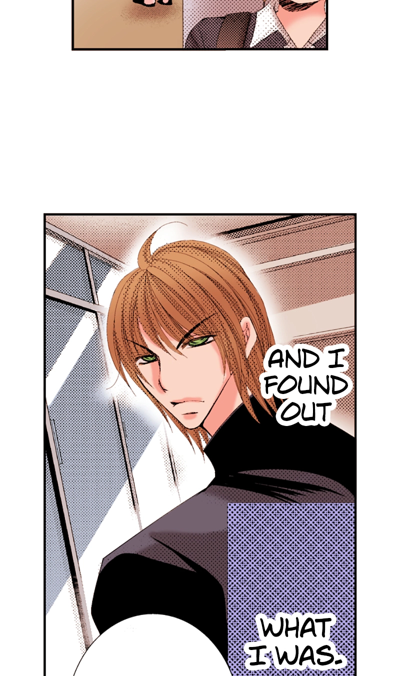 Kyousei Kekkon - Gaten Nikushoku Danshi x Interi Soushoku Joshi Chapter 40 page 41 - 