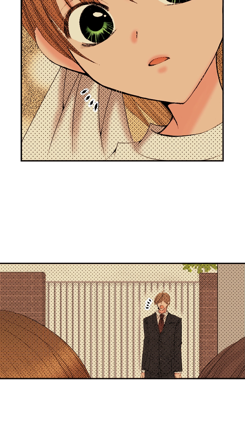 Kyousei Kekkon - Gaten Nikushoku Danshi x Interi Soushoku Joshi Chapter 41 page 22 - 