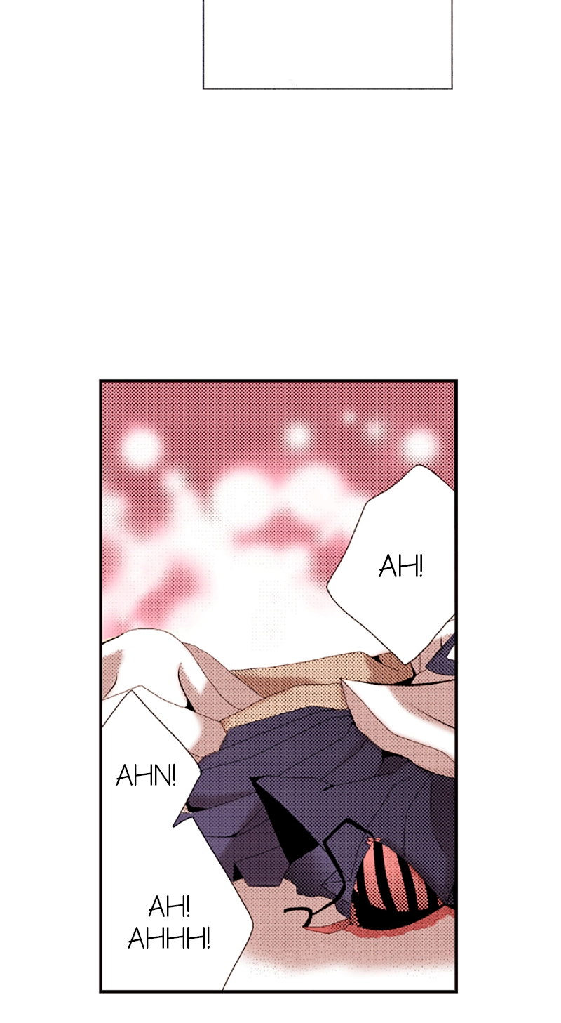 Kyousei Kekkon - Gaten Nikushoku Danshi x Interi Soushoku Joshi Chapter 41 page 5 - 