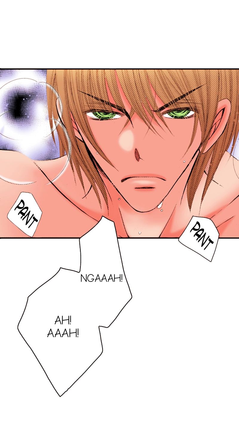 Kyousei Kekkon - Gaten Nikushoku Danshi x Interi Soushoku Joshi Chapter 41 page 7 - 