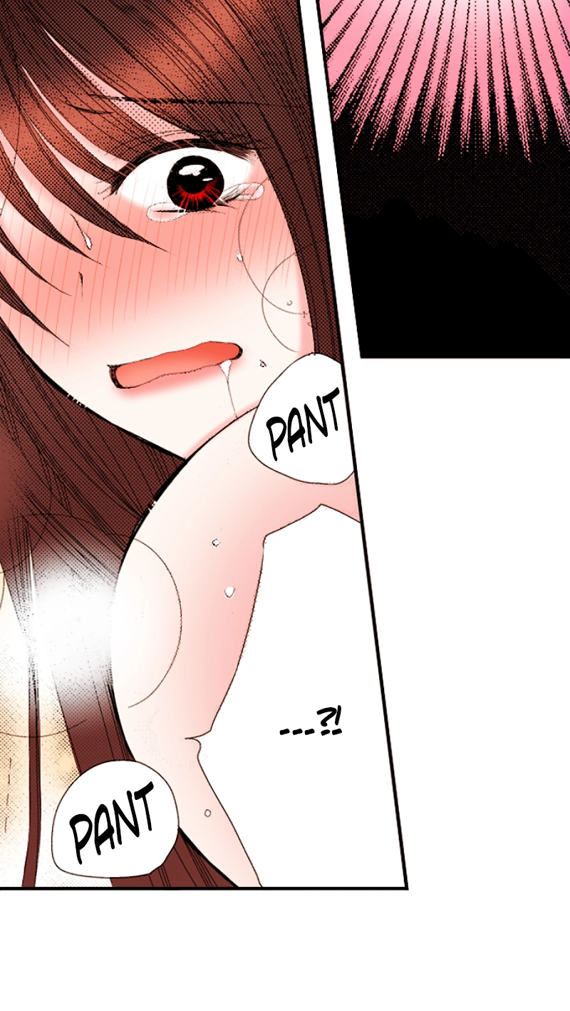 Kyousei Kekkon - Gaten Nikushoku Danshi x Interi Soushoku Joshi Chapter 43 page 14 - 