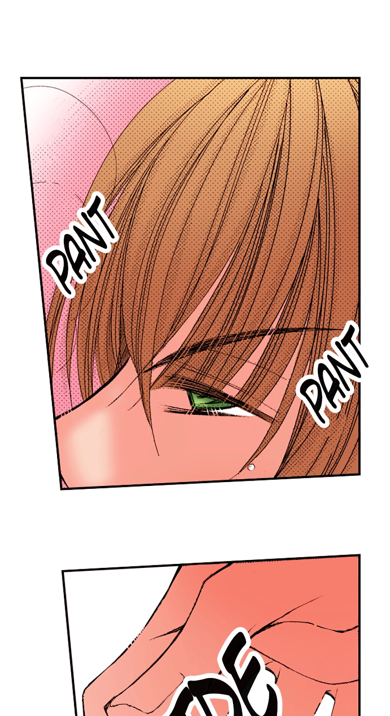 Kyousei Kekkon - Gaten Nikushoku Danshi x Interi Soushoku Joshi Chapter 43 page 30 - 