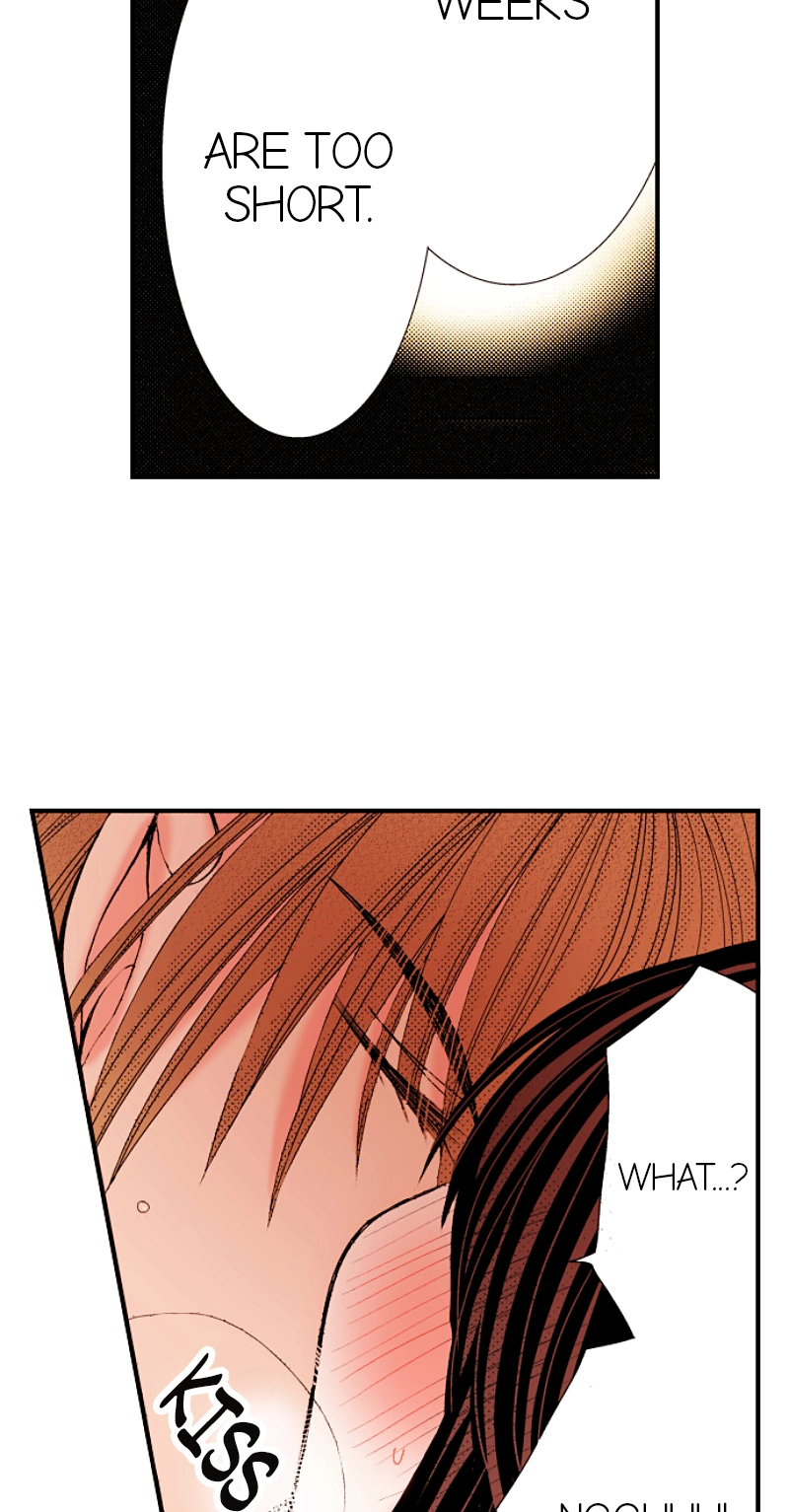 Kyousei Kekkon - Gaten Nikushoku Danshi x Interi Soushoku Joshi Chapter 45 page 14 - 