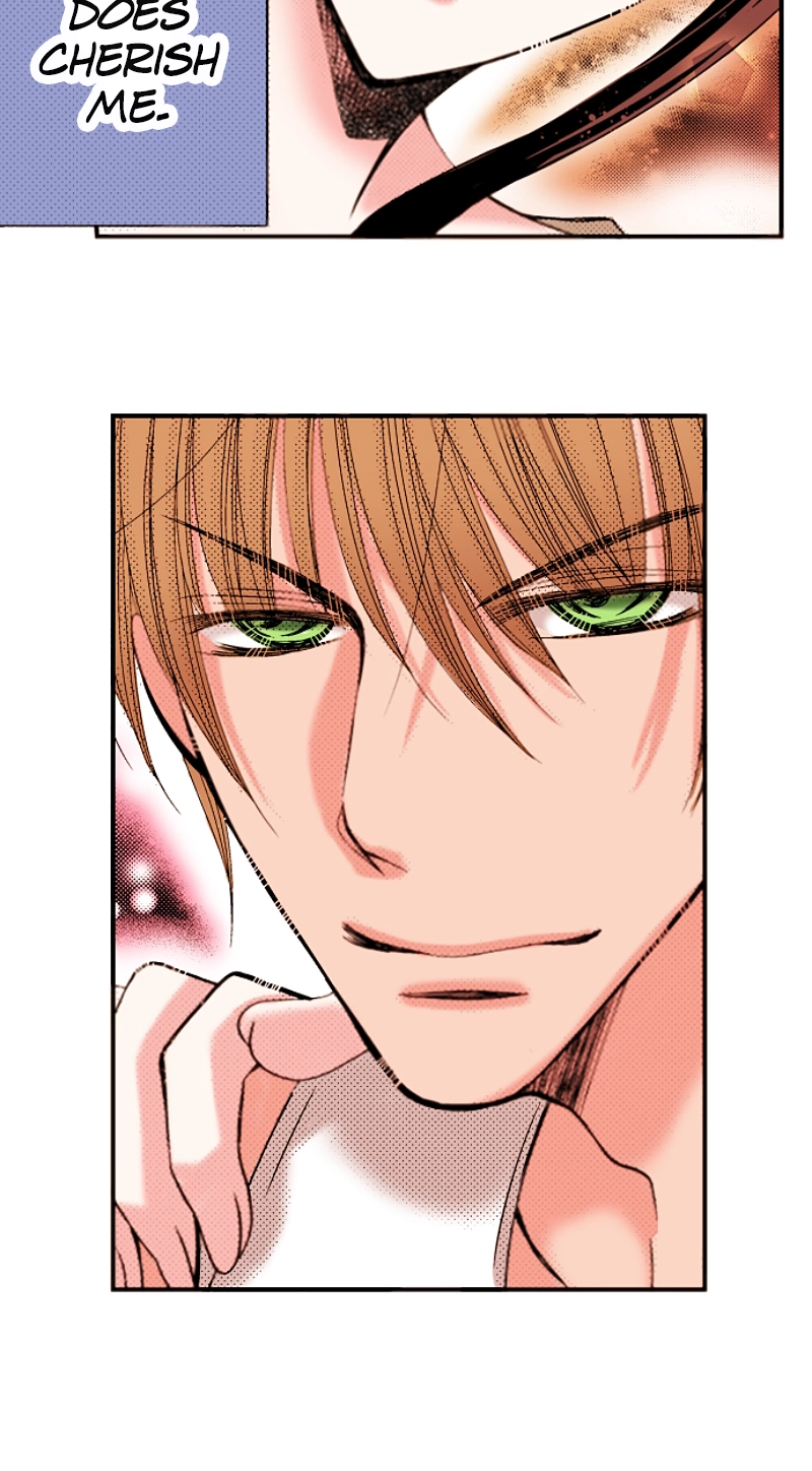 Kyousei Kekkon - Gaten Nikushoku Danshi x Interi Soushoku Joshi Chapter 49 page 17 - 