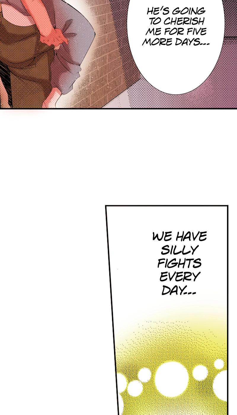 Kyousei Kekkon - Gaten Nikushoku Danshi x Interi Soushoku Joshi Chapter 49 page 19 - 