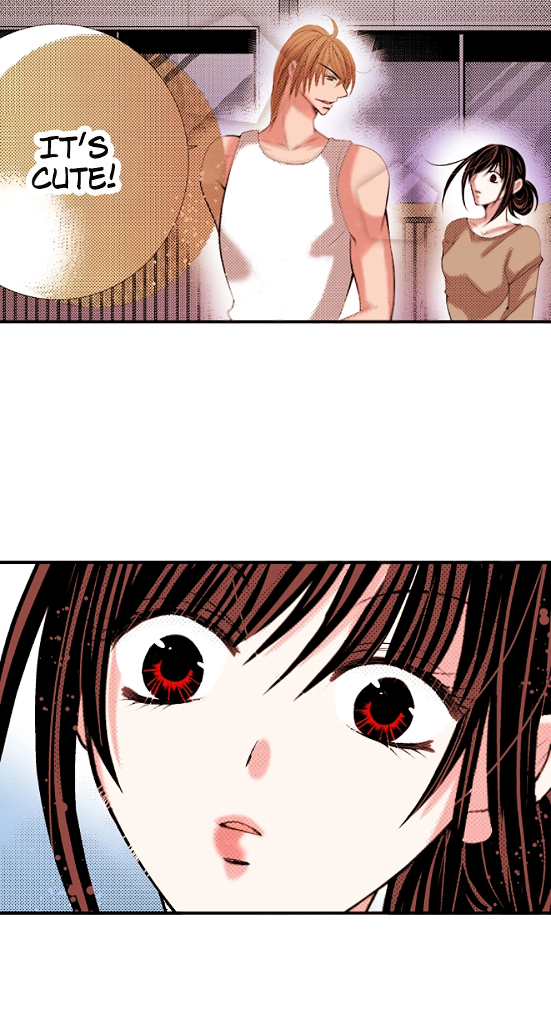 Kyousei Kekkon - Gaten Nikushoku Danshi x Interi Soushoku Joshi Chapter 49 page 37 - 