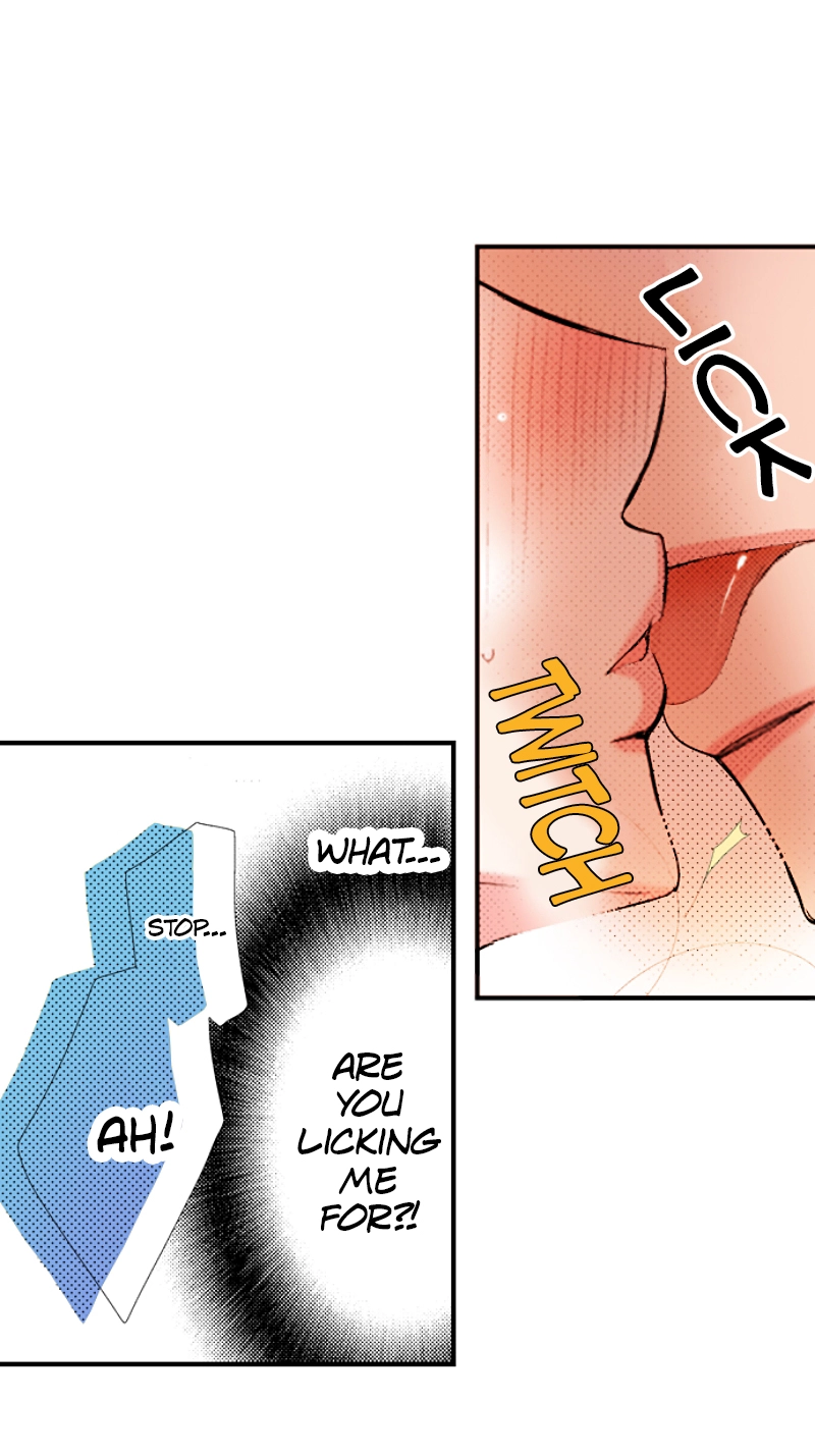 Kyousei Kekkon - Gaten Nikushoku Danshi x Interi Soushoku Joshi Chapter 51 page 21 - 