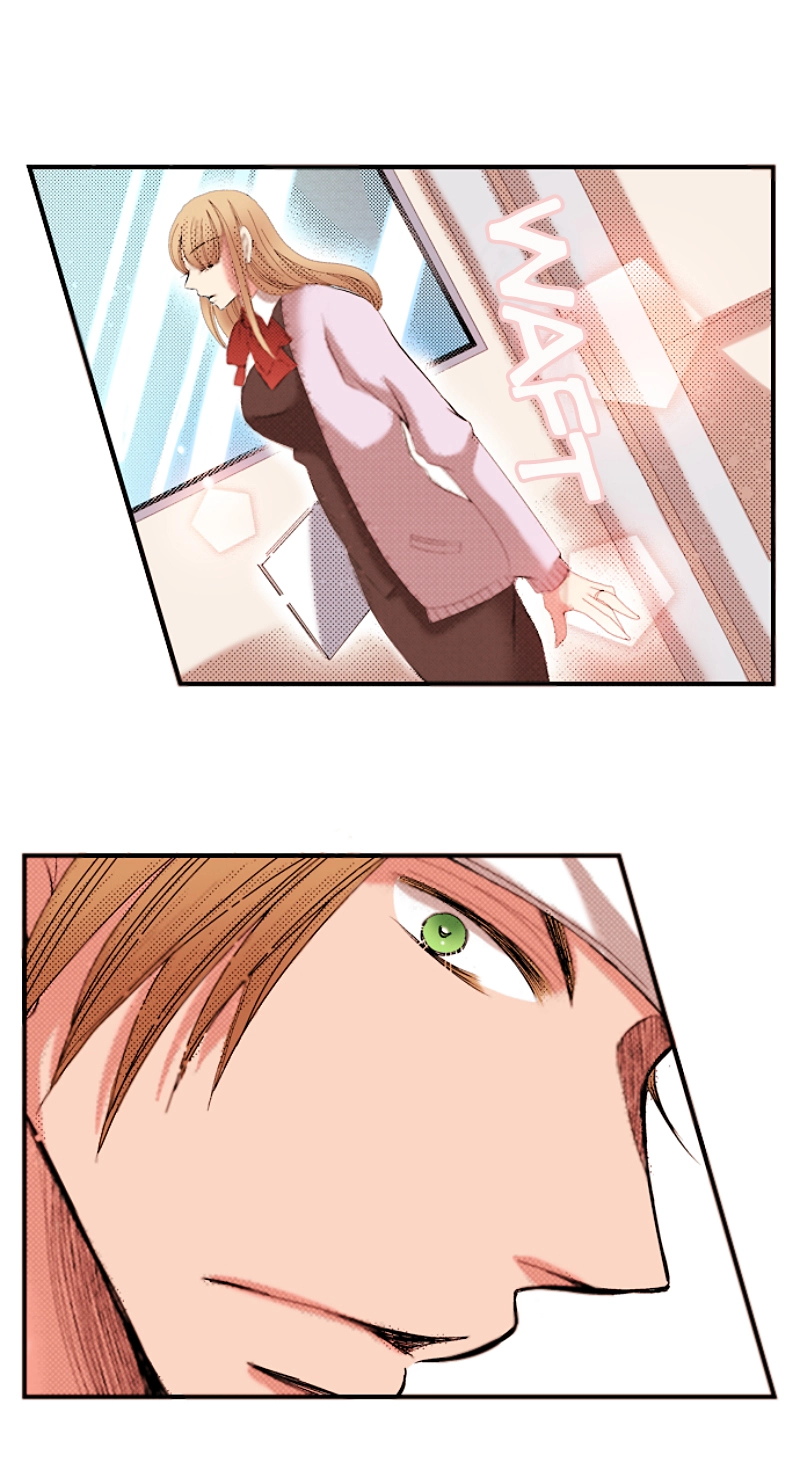 Kyousei Kekkon - Gaten Nikushoku Danshi x Interi Soushoku Joshi Chapter 52 page 17 - 