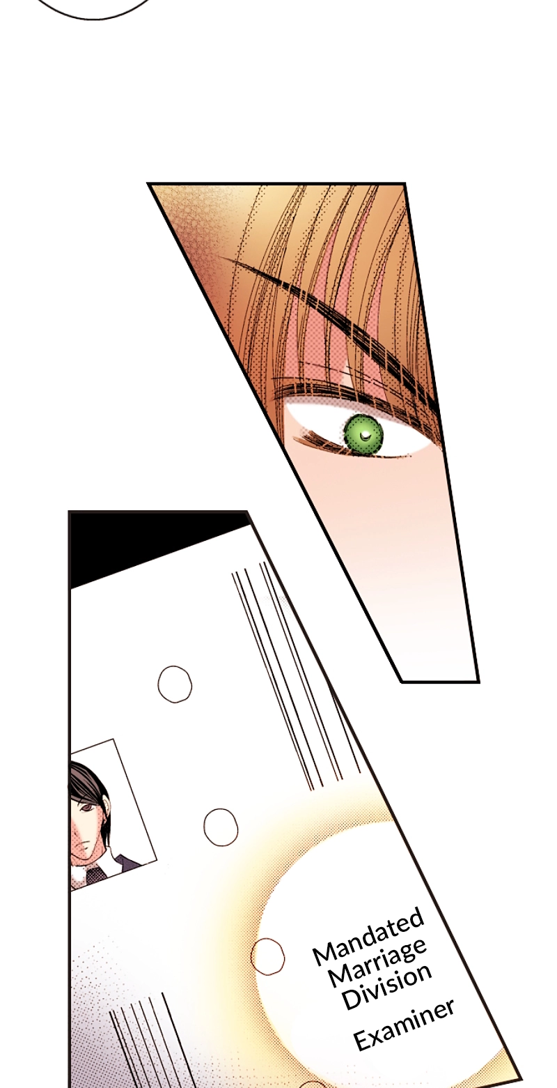 Kyousei Kekkon - Gaten Nikushoku Danshi x Interi Soushoku Joshi Chapter 53 page 28 - 