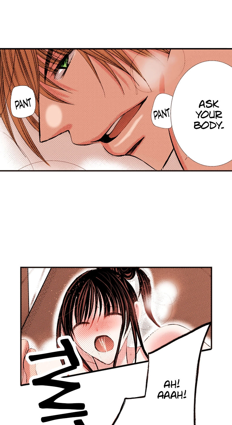 Kyousei Kekkon - Gaten Nikushoku Danshi x Interi Soushoku Joshi Chapter 55 page 16 - 