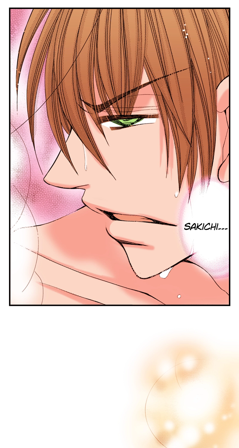 Kyousei Kekkon - Gaten Nikushoku Danshi x Interi Soushoku Joshi Chapter 56 page 25 - 