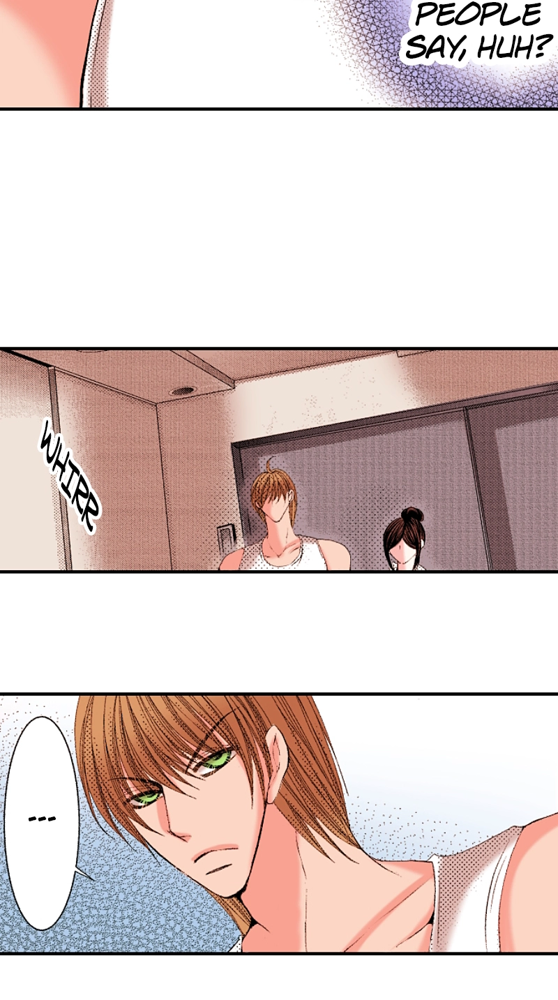 Kyousei Kekkon - Gaten Nikushoku Danshi x Interi Soushoku Joshi Chapter 60 page 19 - 