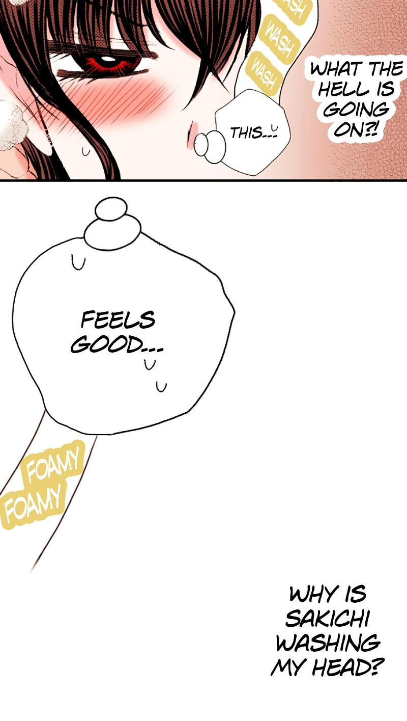 Kyousei Kekkon - Gaten Nikushoku Danshi x Interi Soushoku Joshi Chapter 61 page 22 - 