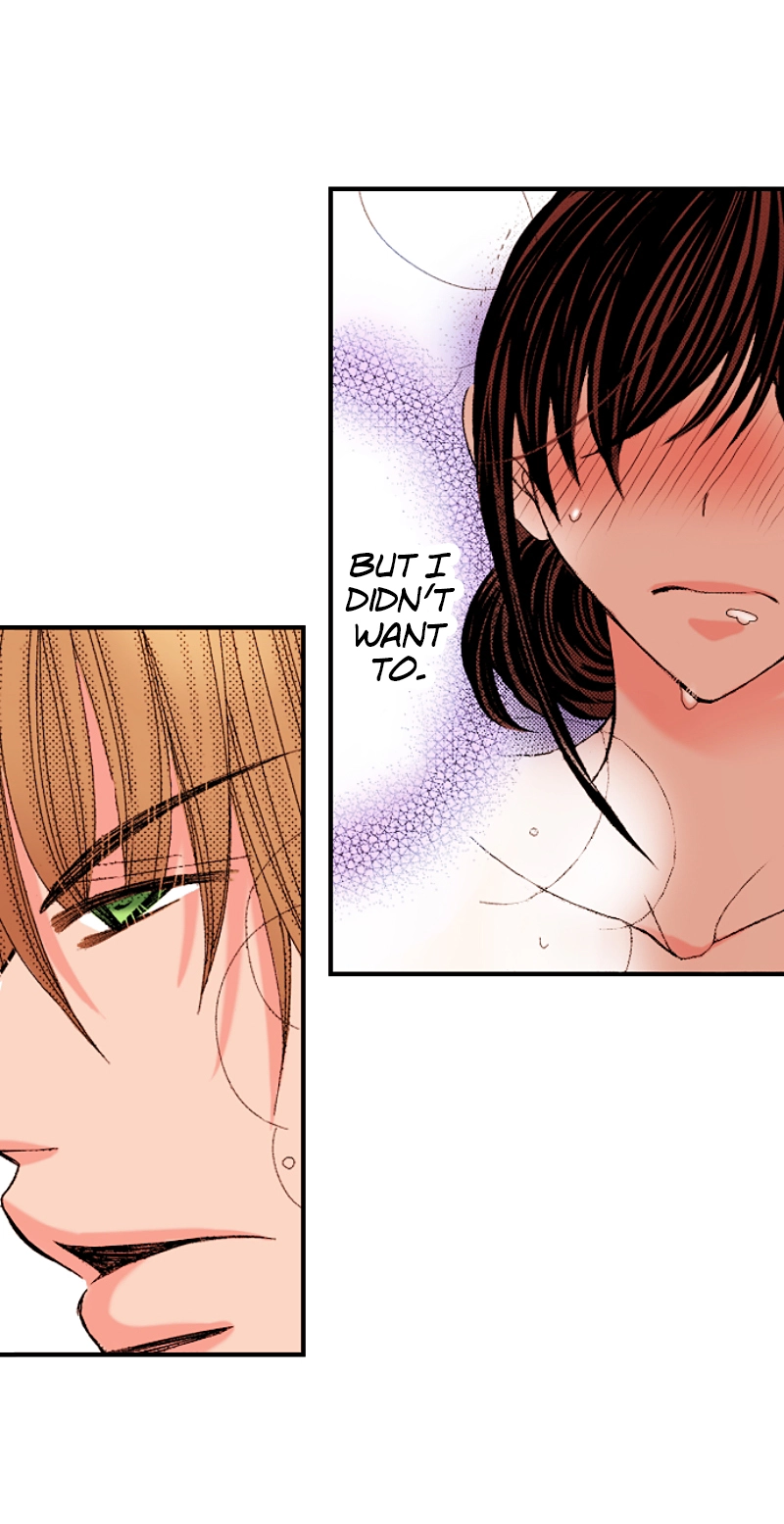 Kyousei Kekkon - Gaten Nikushoku Danshi x Interi Soushoku Joshi Chapter 62 page 16 - 