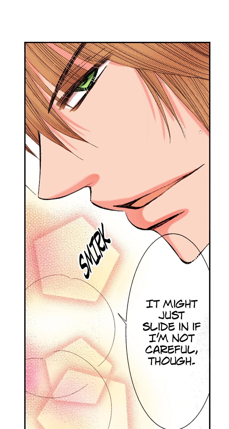 Kyousei Kekkon - Gaten Nikushoku Danshi x Interi Soushoku Joshi Chapter 63 page 17 - 