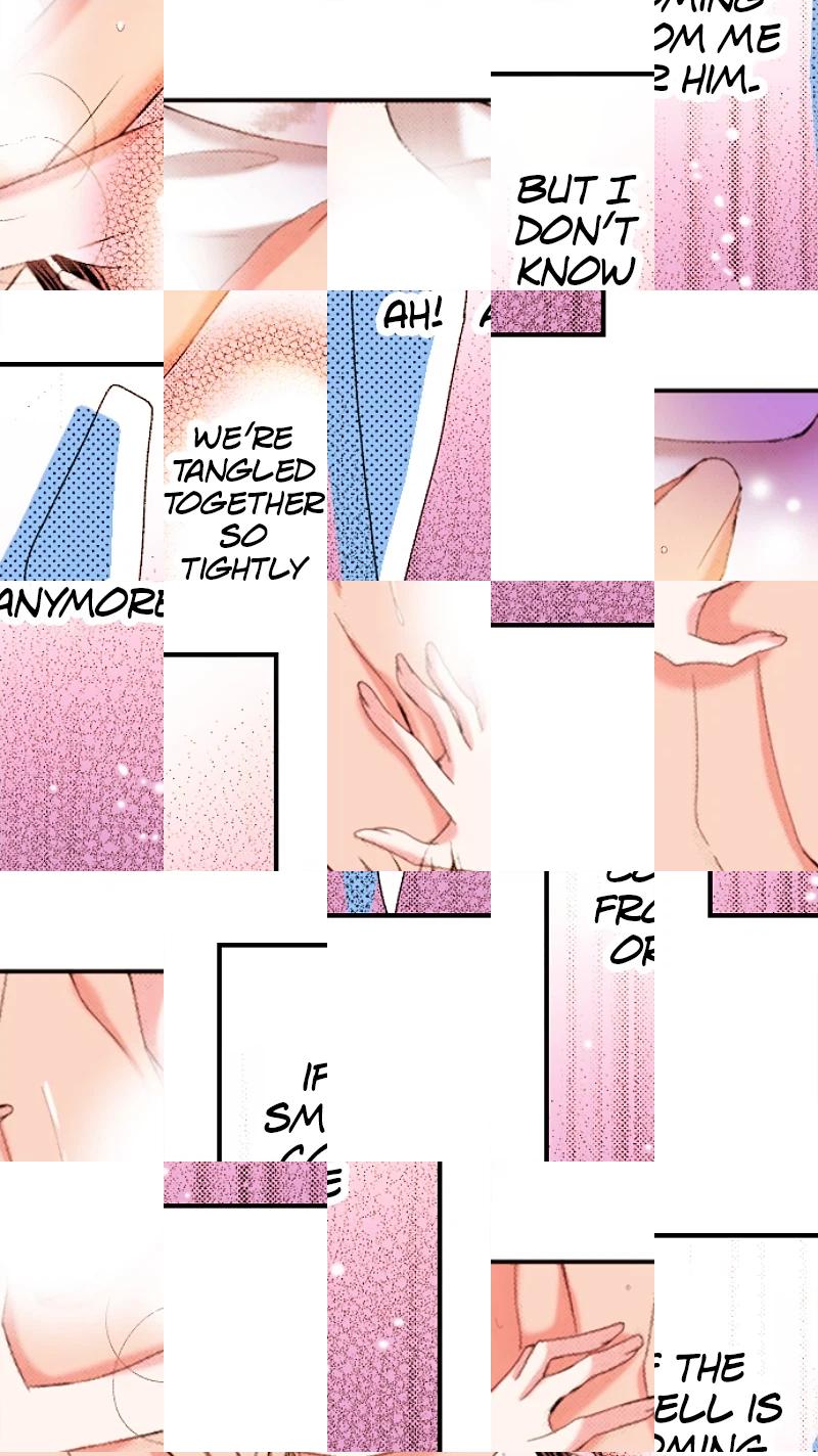 Kyousei Kekkon - Gaten Nikushoku Danshi x Interi Soushoku Joshi Chapter 64 page 4 - 