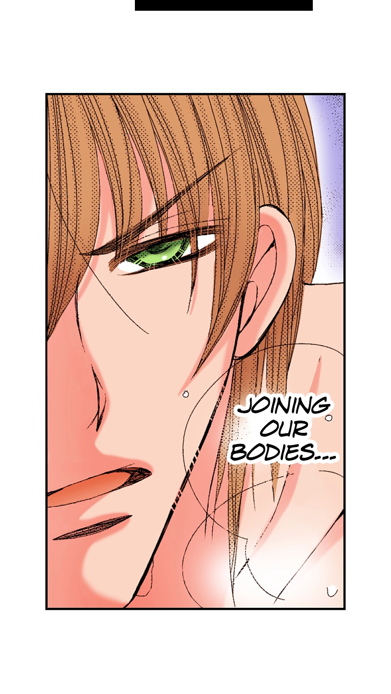 Kyousei Kekkon - Gaten Nikushoku Danshi x Interi Soushoku Joshi Chapter 64 page 6 - 