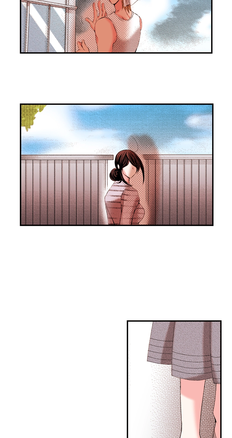 Kyousei Kekkon - Gaten Nikushoku Danshi x Interi Soushoku Joshi Chapter 65 page 17 - 