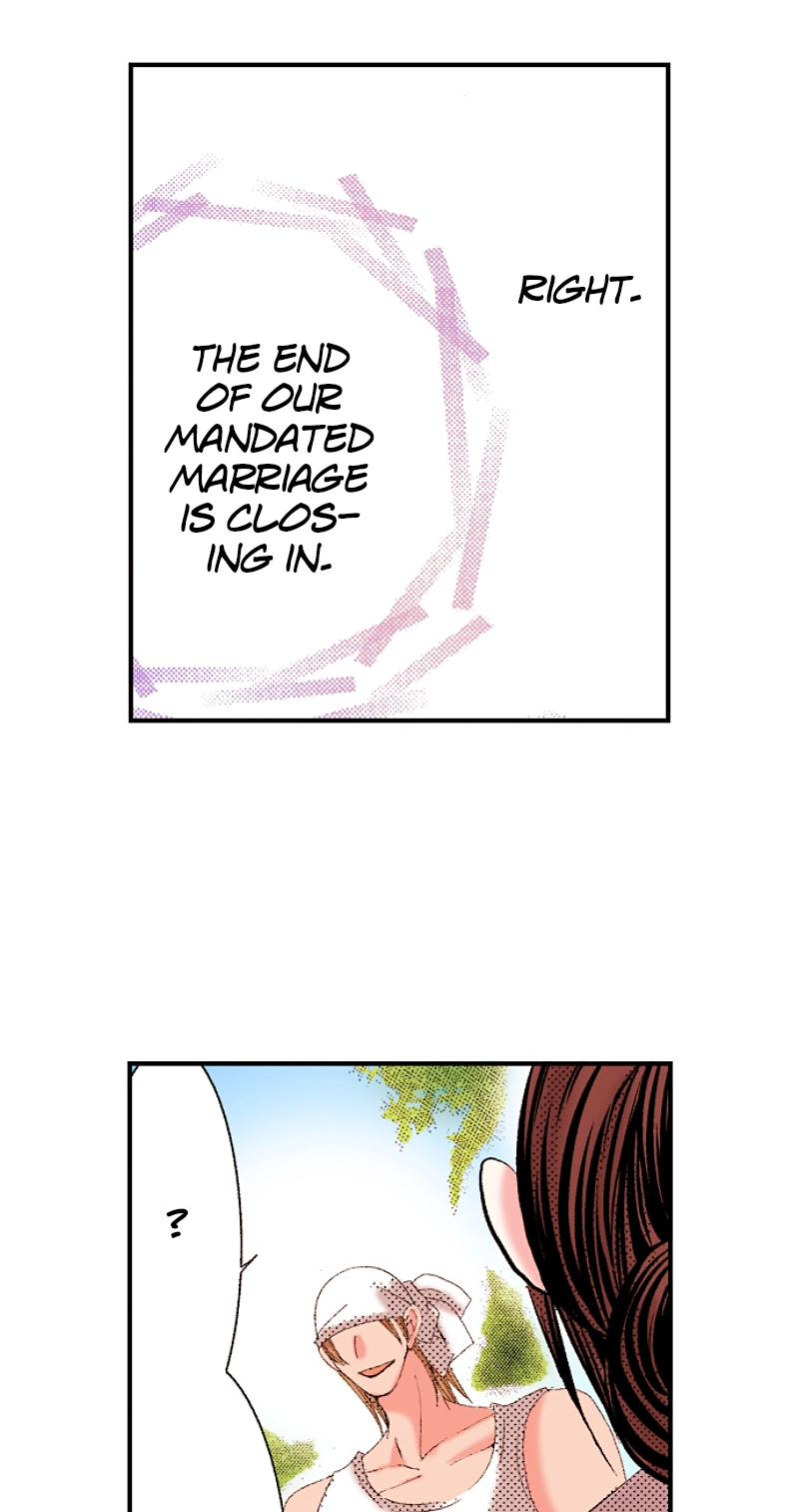 Kyousei Kekkon - Gaten Nikushoku Danshi x Interi Soushoku Joshi Chapter 65 page 5 - 