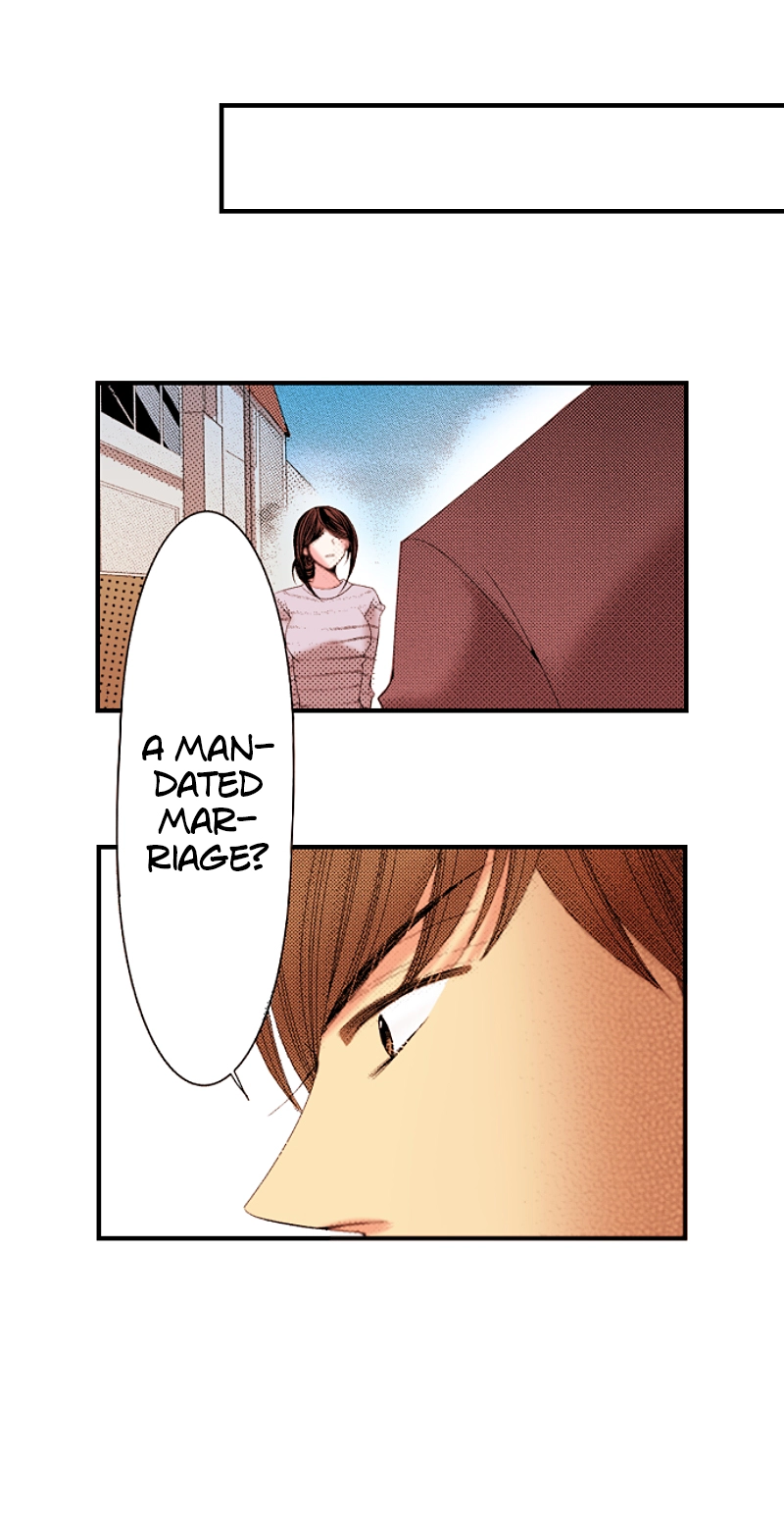 Kyousei Kekkon - Gaten Nikushoku Danshi x Interi Soushoku Joshi Chapter 66 page 19 - 