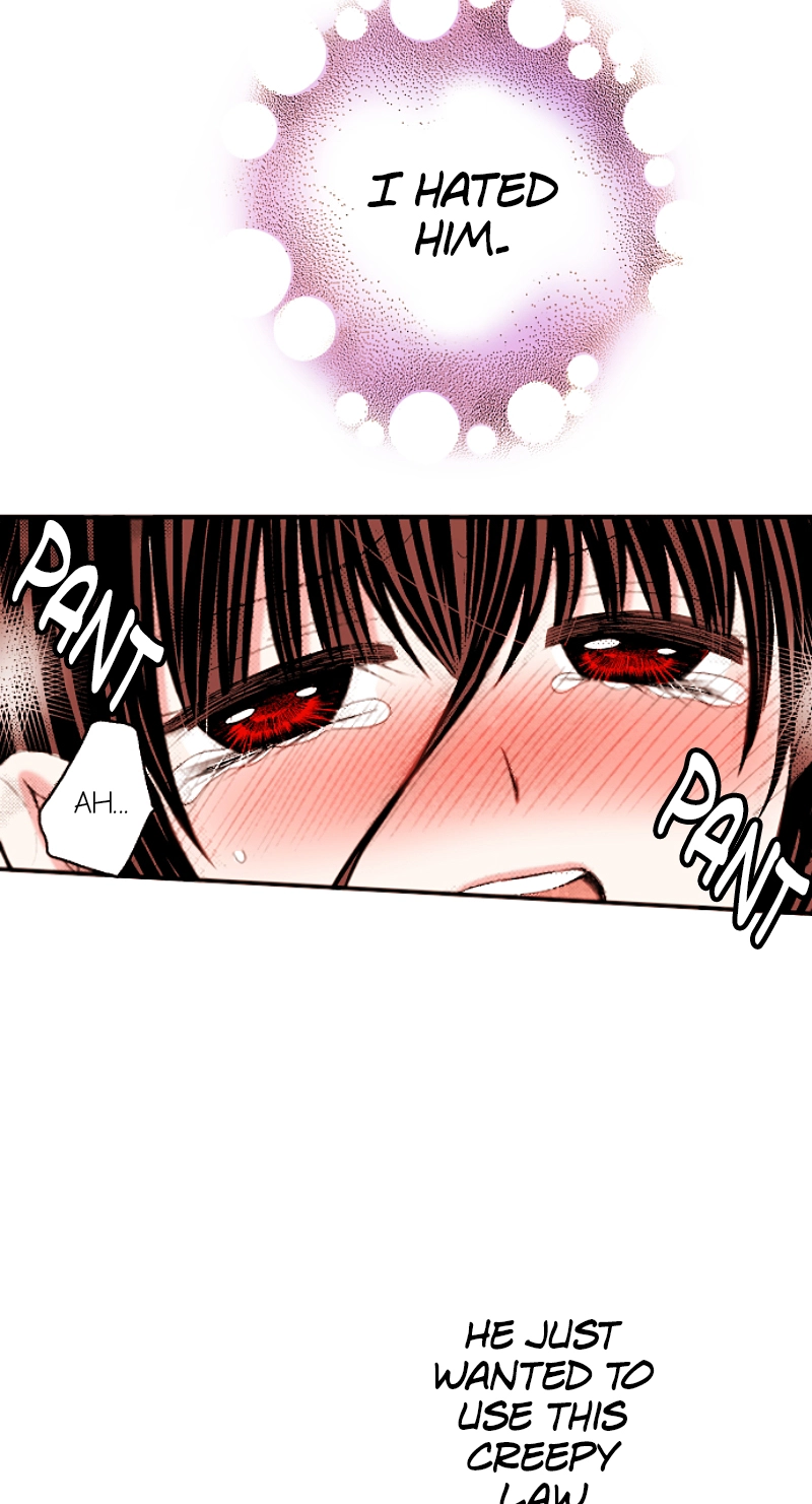 Kyousei Kekkon - Gaten Nikushoku Danshi x Interi Soushoku Joshi Chapter 66 page 5 - 
