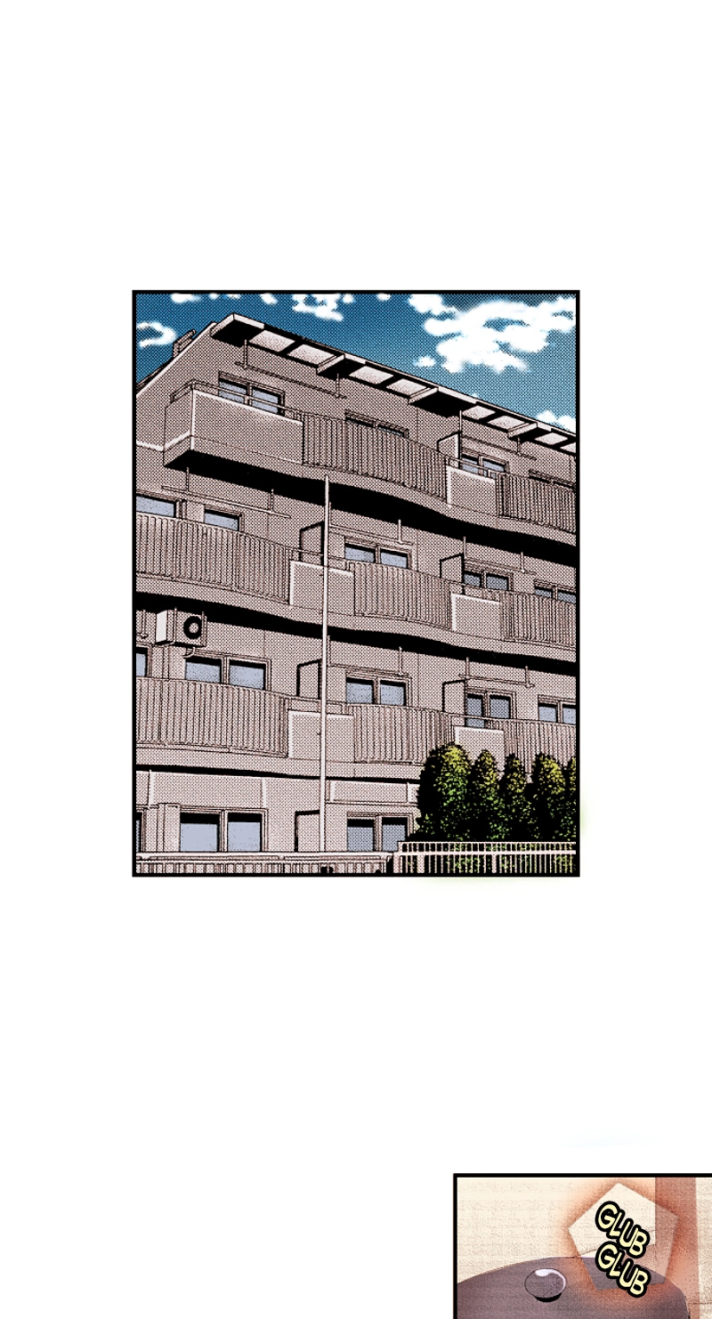 Kyousei Kekkon - Gaten Nikushoku Danshi x Interi Soushoku Joshi Chapter 67 page 10 - 