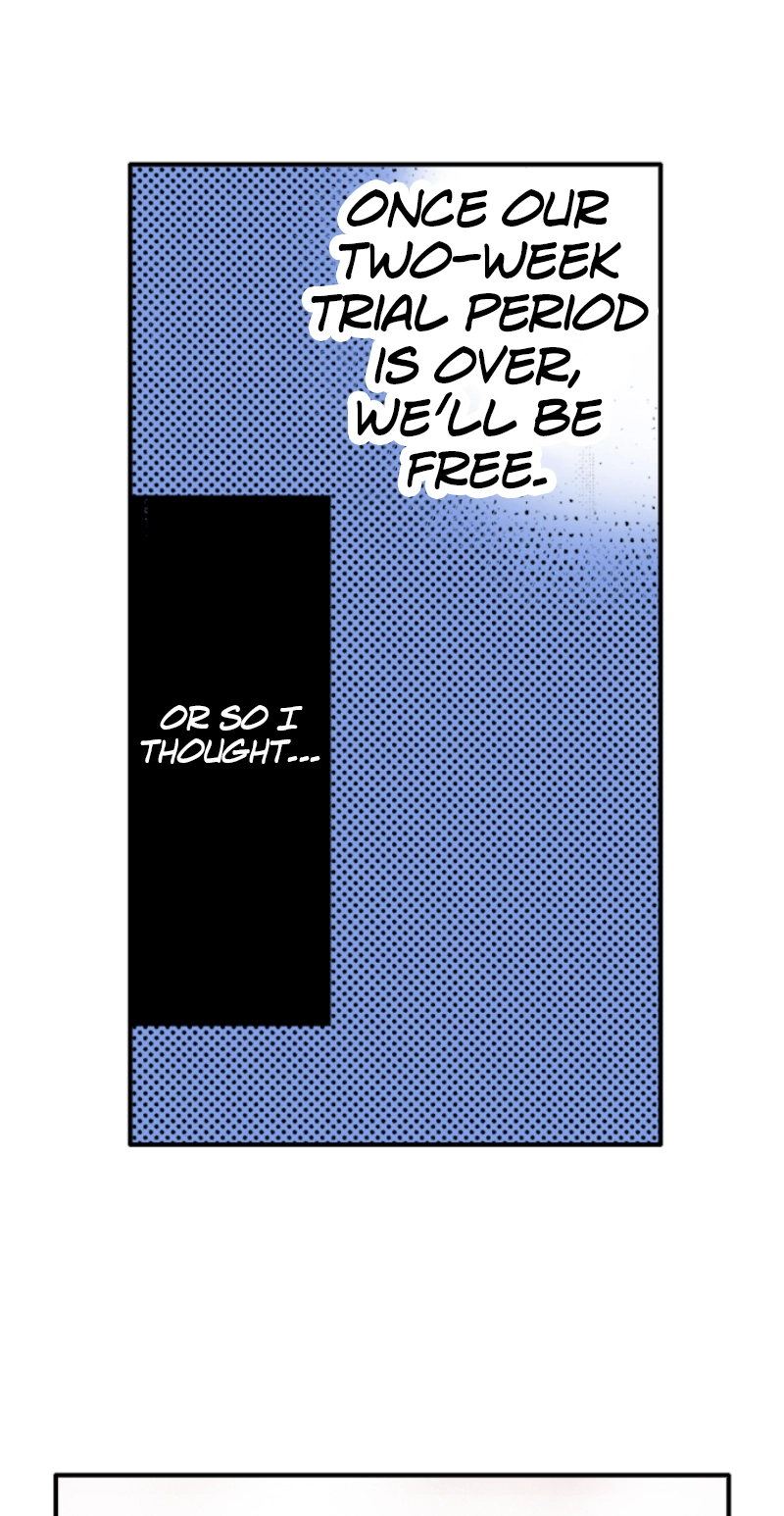 Kyousei Kekkon - Gaten Nikushoku Danshi x Interi Soushoku Joshi Chapter 7 page 43 - 