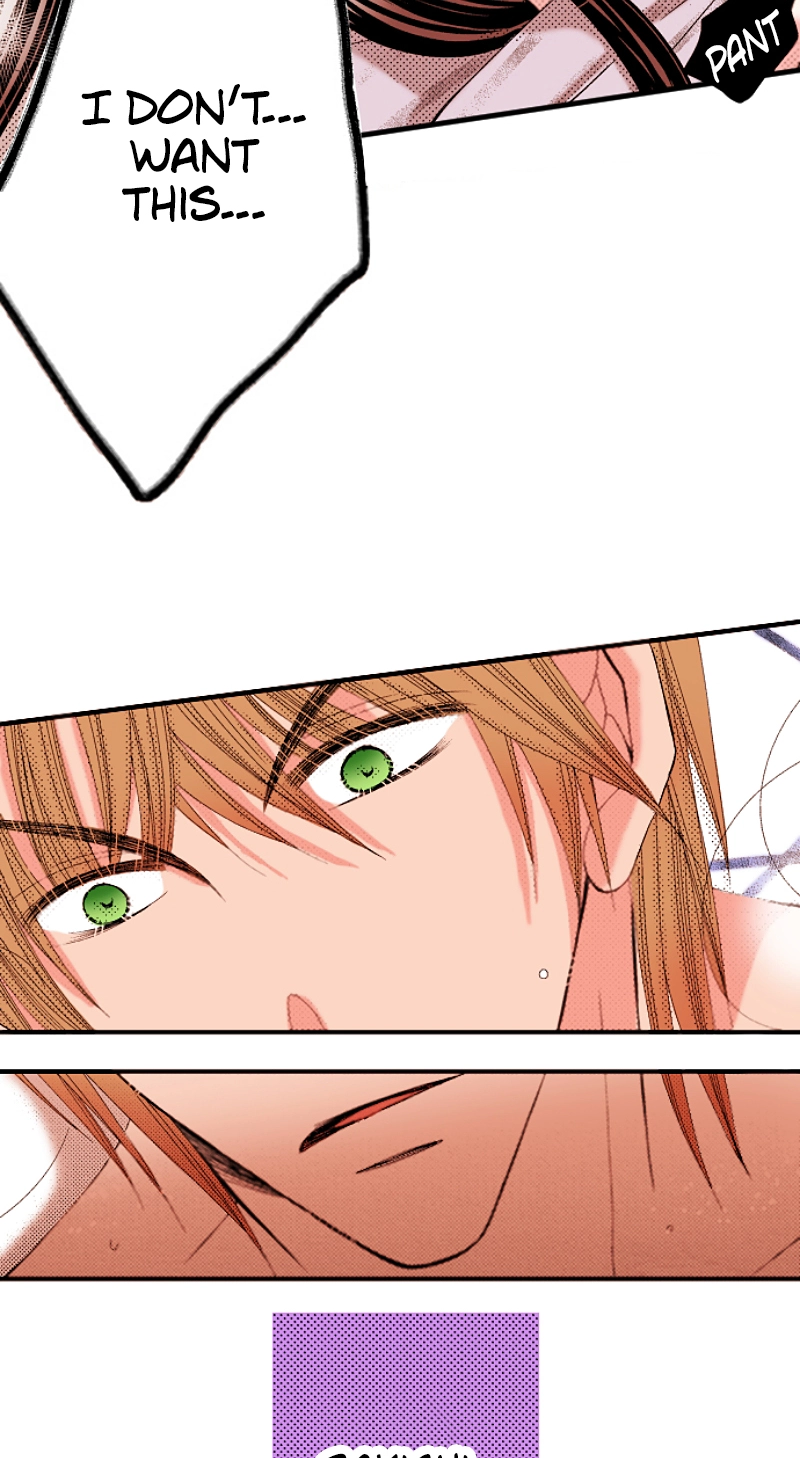 Kyousei Kekkon - Gaten Nikushoku Danshi x Interi Soushoku Joshi Chapter 70 page 12 - 