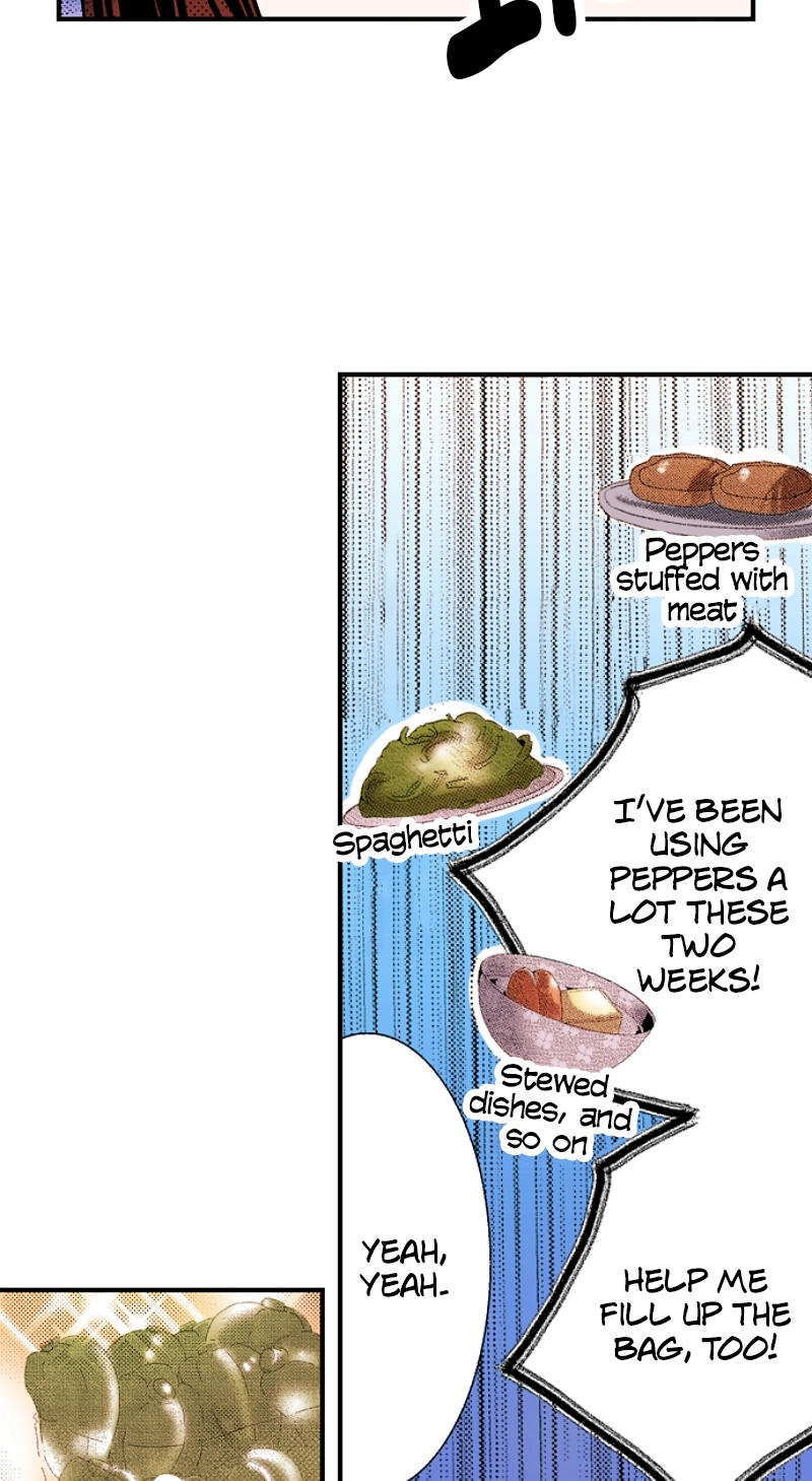 Kyousei Kekkon - Gaten Nikushoku Danshi x Interi Soushoku Joshi Chapter 71 page 15 - 