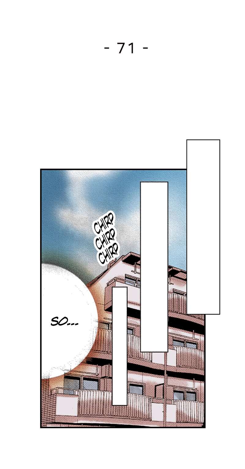 Kyousei Kekkon - Gaten Nikushoku Danshi x Interi Soushoku Joshi Chapter 71 page 3 - 