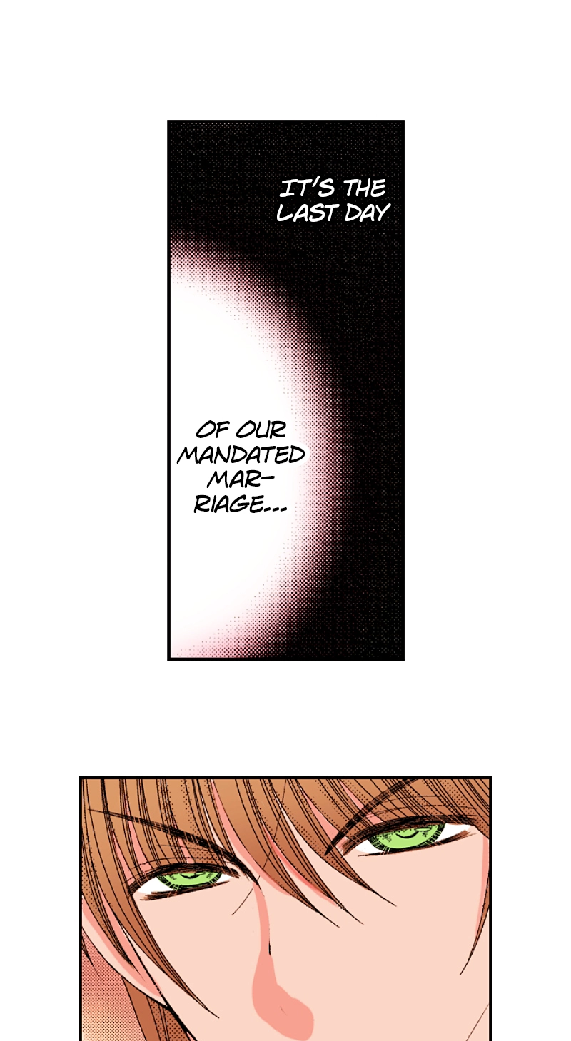 Kyousei Kekkon - Gaten Nikushoku Danshi x Interi Soushoku Joshi Chapter 71 page 10 - 