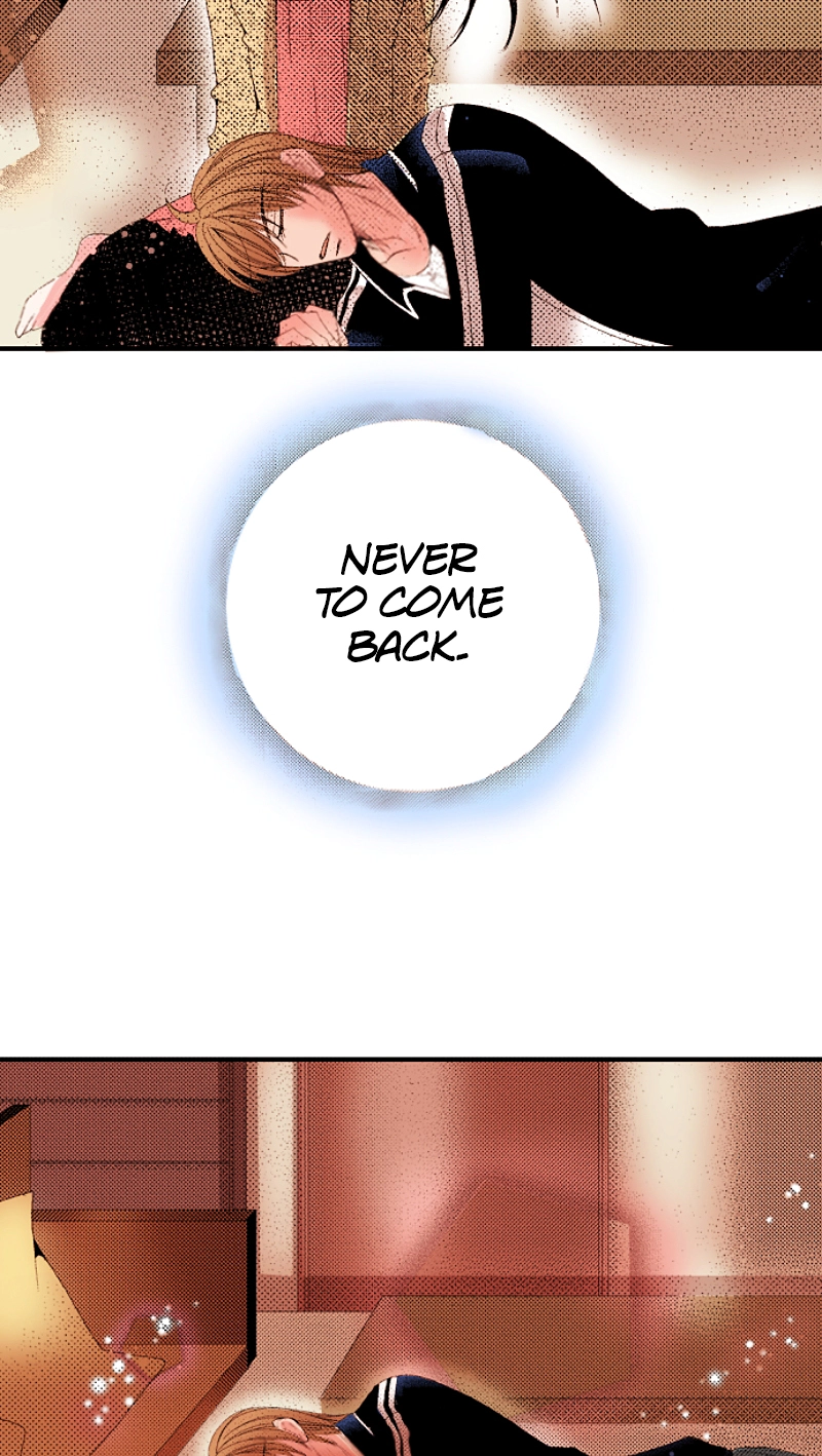 Kyousei Kekkon - Gaten Nikushoku Danshi x Interi Soushoku Joshi Chapter 72 page 17 - 