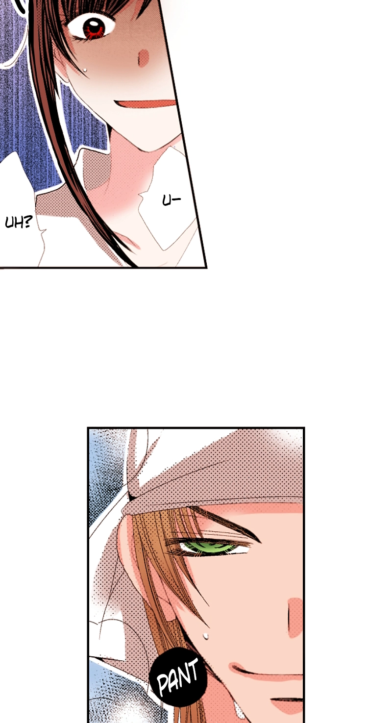 Kyousei Kekkon - Gaten Nikushoku Danshi x Interi Soushoku Joshi Chapter 75 page 13 - 