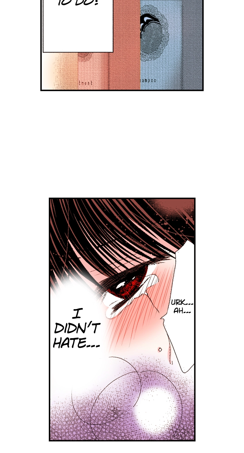 Kyousei Kekkon - Gaten Nikushoku Danshi x Interi Soushoku Joshi Chapter 76 page 42 - 