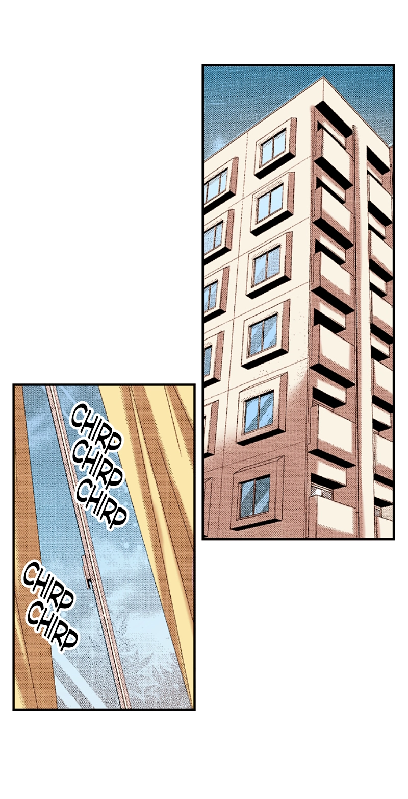 Kyousei Kekkon - Gaten Nikushoku Danshi x Interi Soushoku Joshi Chapter 77 page 18 - 