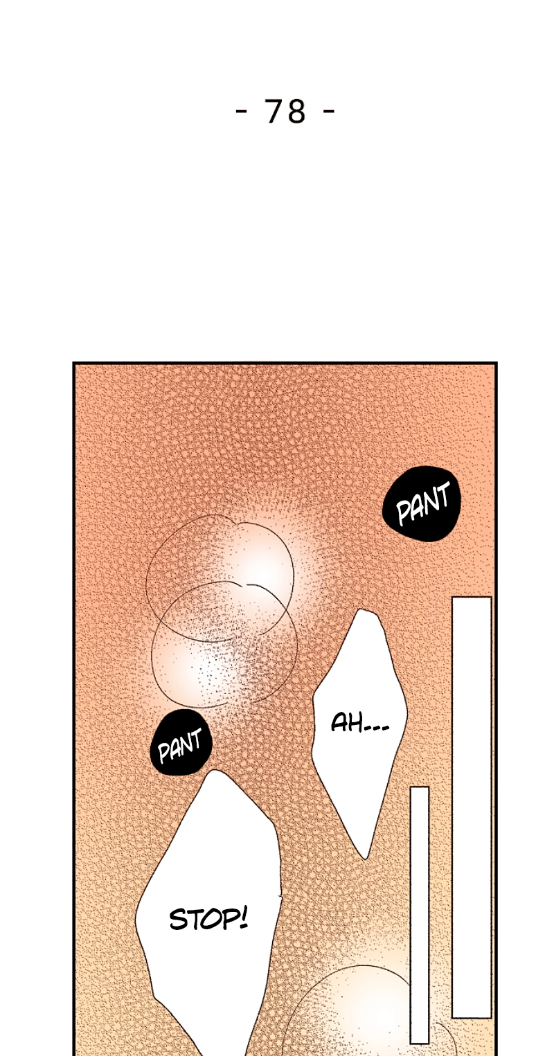 Kyousei Kekkon - Gaten Nikushoku Danshi x Interi Soushoku Joshi Chapter 78 page 3 - 