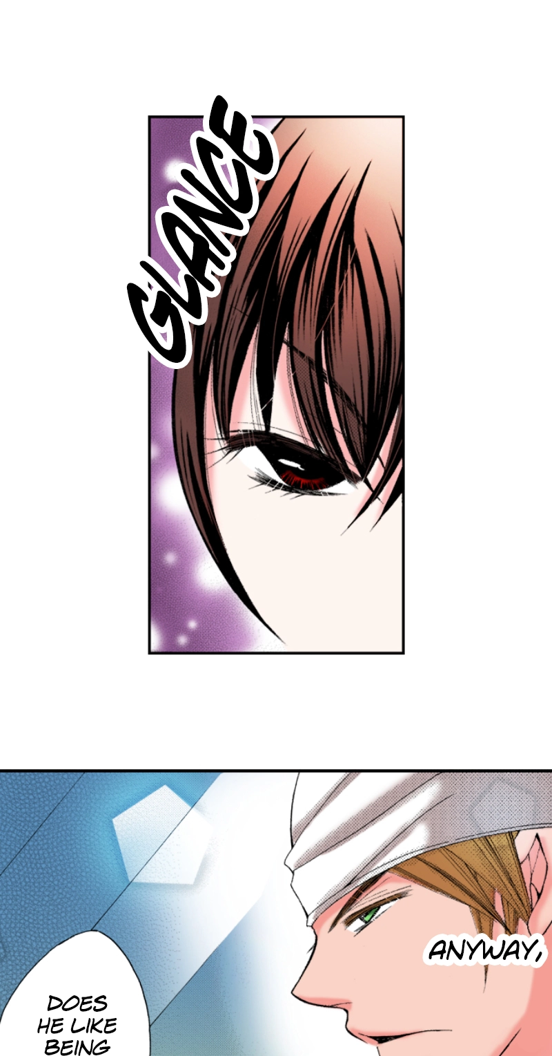 Kyousei Kekkon - Gaten Nikushoku Danshi x Interi Soushoku Joshi Chapter 8 page 15 - 