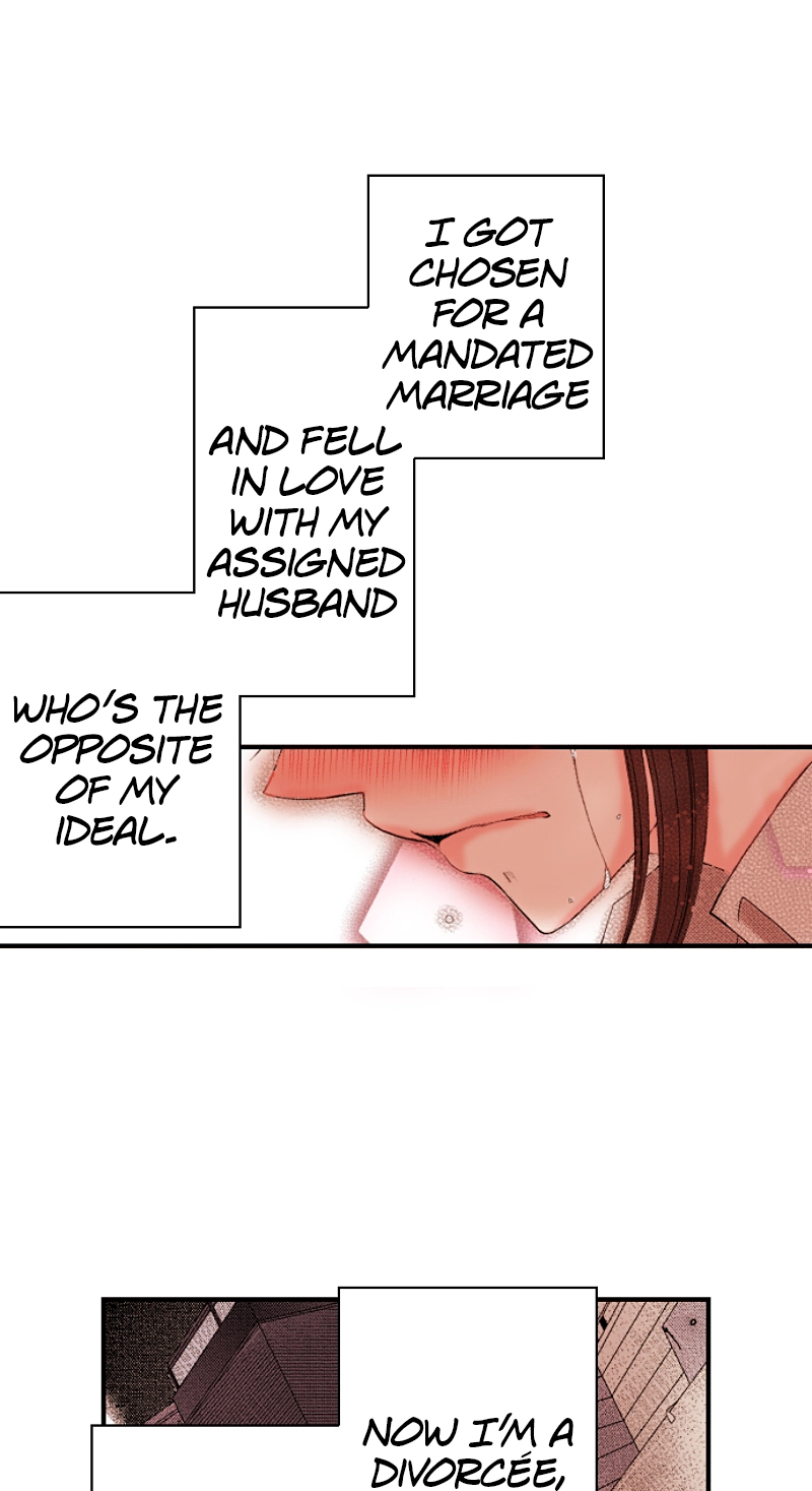 Kyousei Kekkon - Gaten Nikushoku Danshi x Interi Soushoku Joshi Chapter 82 page 29 - 