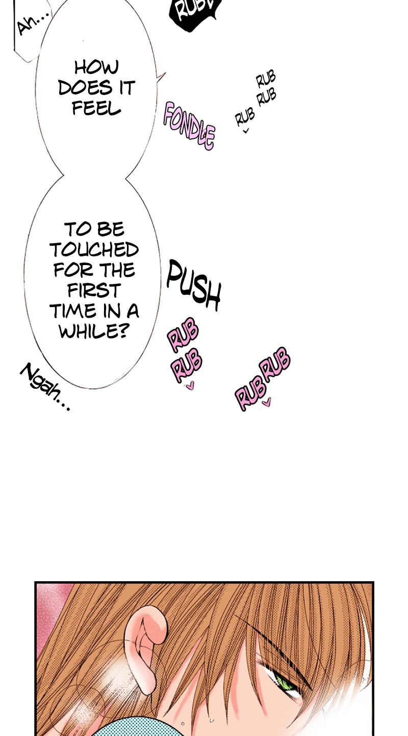 Kyousei Kekkon - Gaten Nikushoku Danshi x Interi Soushoku Joshi Chapter 84 page 21 - 
