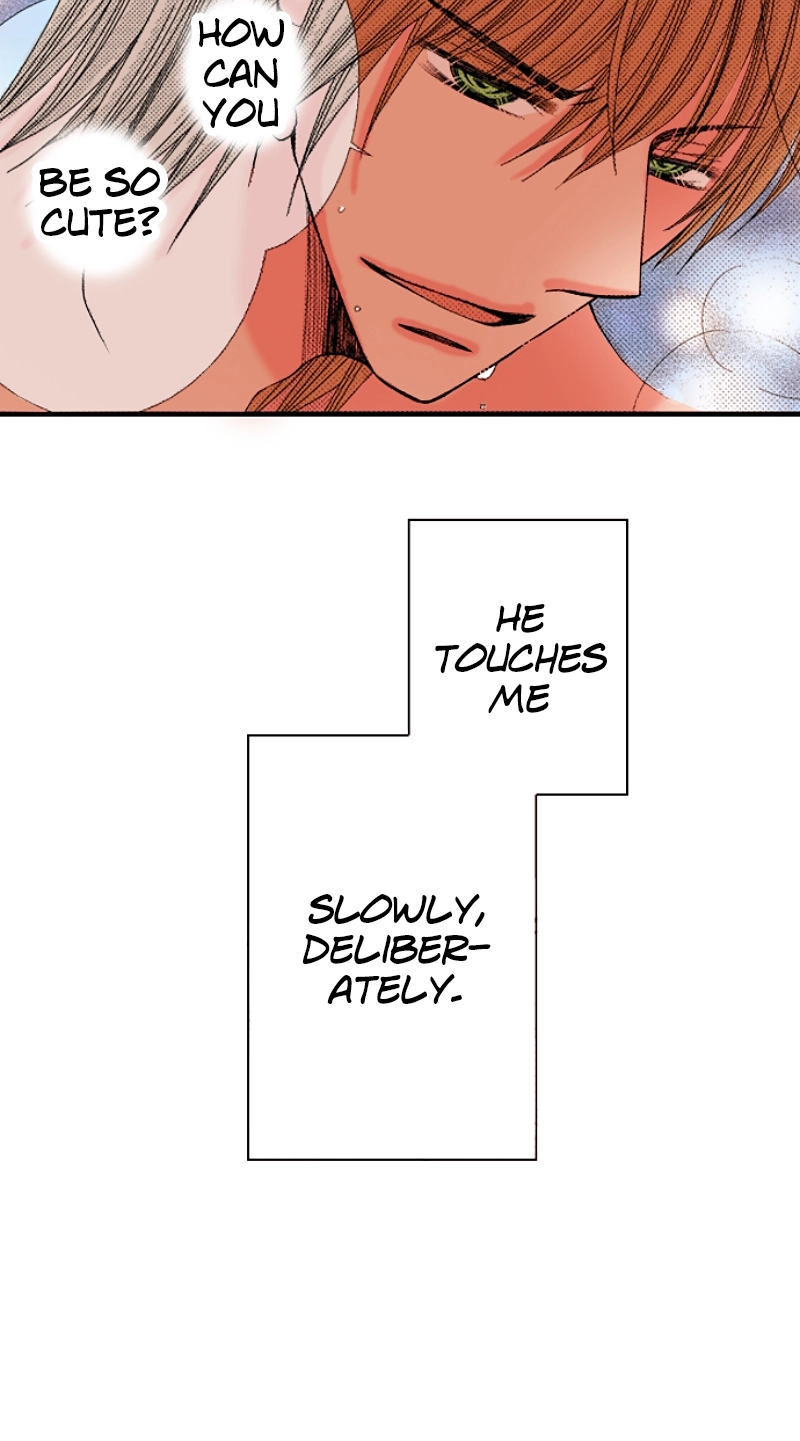 Kyousei Kekkon - Gaten Nikushoku Danshi x Interi Soushoku Joshi Chapter 84 page 26 - 