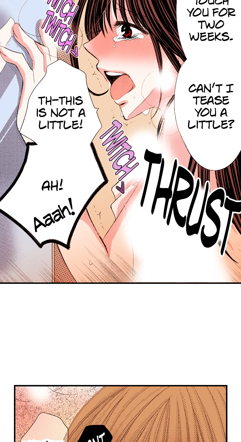 Kyousei Kekkon - Gaten Nikushoku Danshi x Interi Soushoku Joshi Chapter 87 page 43 - 