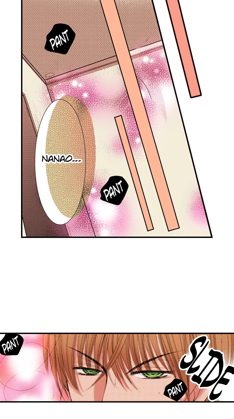 Kyousei Kekkon - Gaten Nikushoku Danshi x Interi Soushoku Joshi Chapter 88 page 12 - 