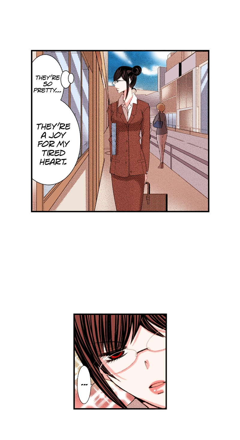 Kyousei Kekkon - Gaten Nikushoku Danshi x Interi Soushoku Joshi Chapter 88 page 19 - 