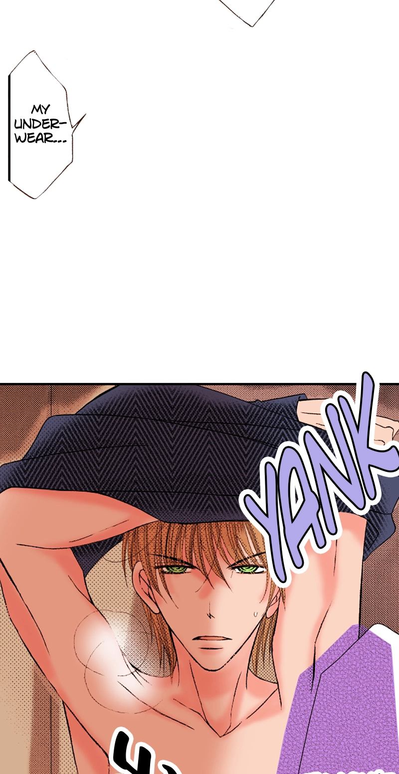 Kyousei Kekkon - Gaten Nikushoku Danshi x Interi Soushoku Joshi Chapter 91 page 21 - 